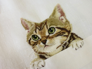 Illustration for article titled Internet Cats Make Boring Dress Shirts Better